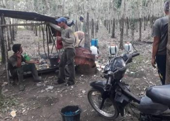 Petani Karet di Kabupaten muara enim Menjerit, Dimusim Kemarau Getah Semakin Dikit dan Bahaya Api Mulai Mulai Mengintai